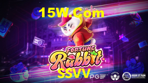 Premium Interface ssvv